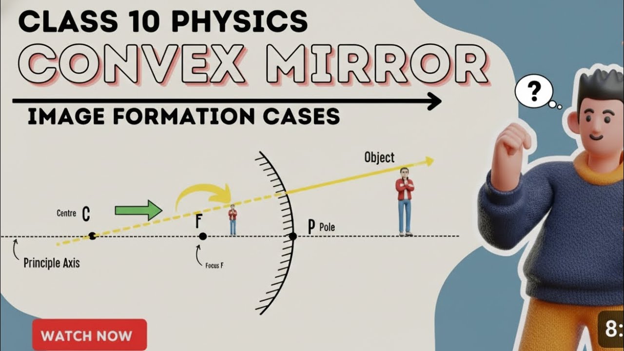 Reflection of light (image form by convex mirror ) 