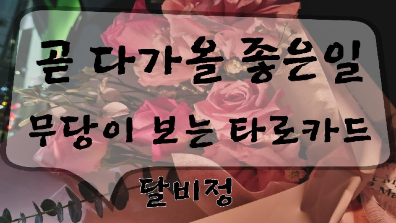 지금 답답한 일 해결 될 거예요~! #타로리딩 #타로카드 #운세 #궁합 #사주