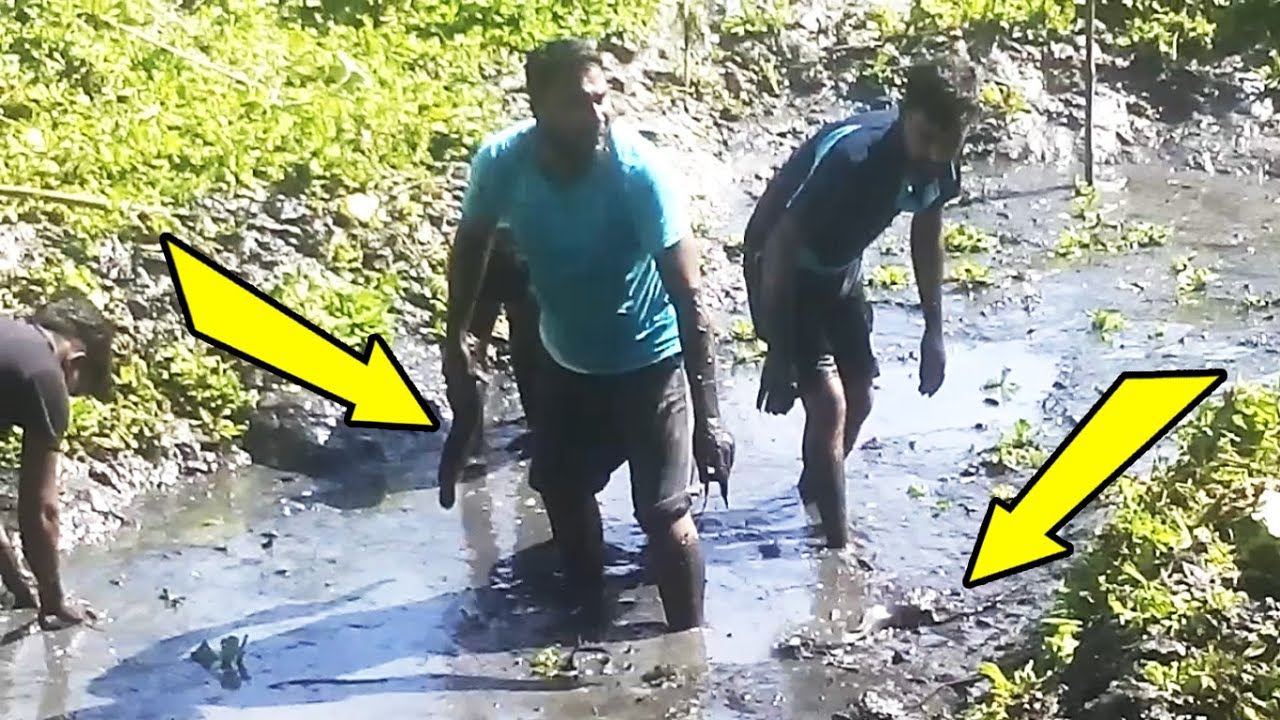Group Hand Fishing BD / Big Catfish Caught by Hand / Mud Water Fishing by Young Guys / Kids Fishing