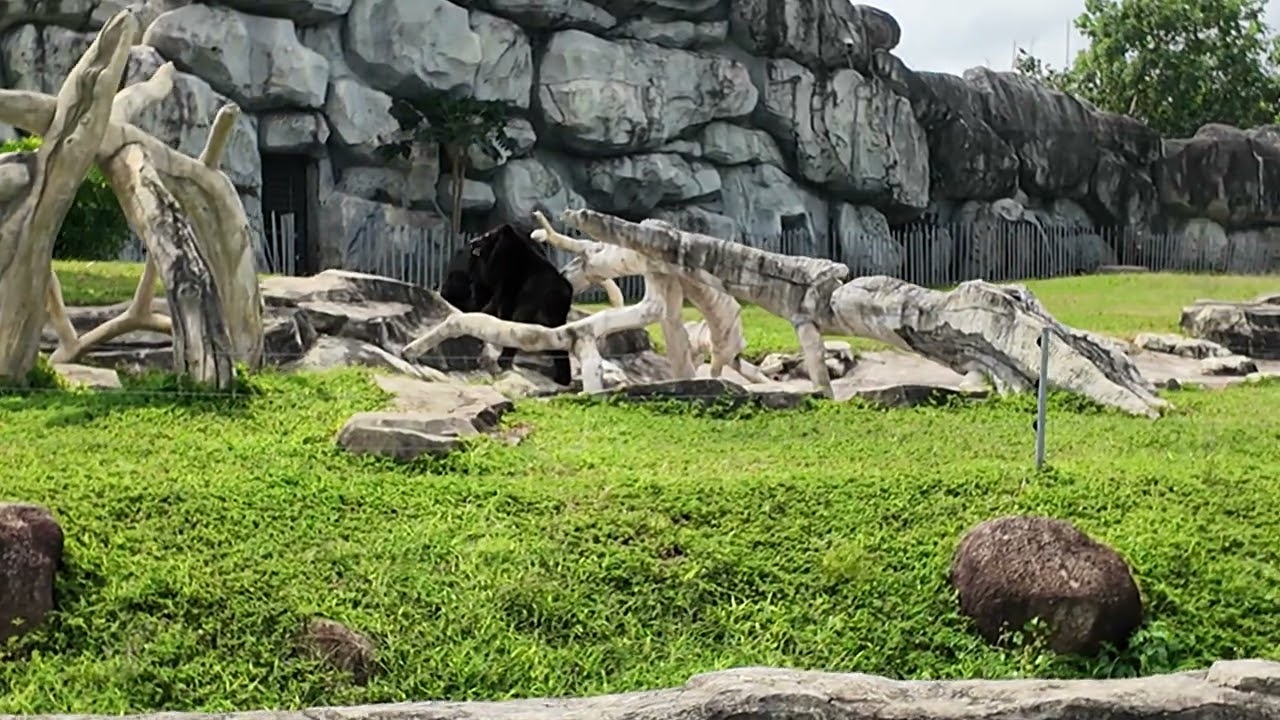 Safari Nam Hội An 4