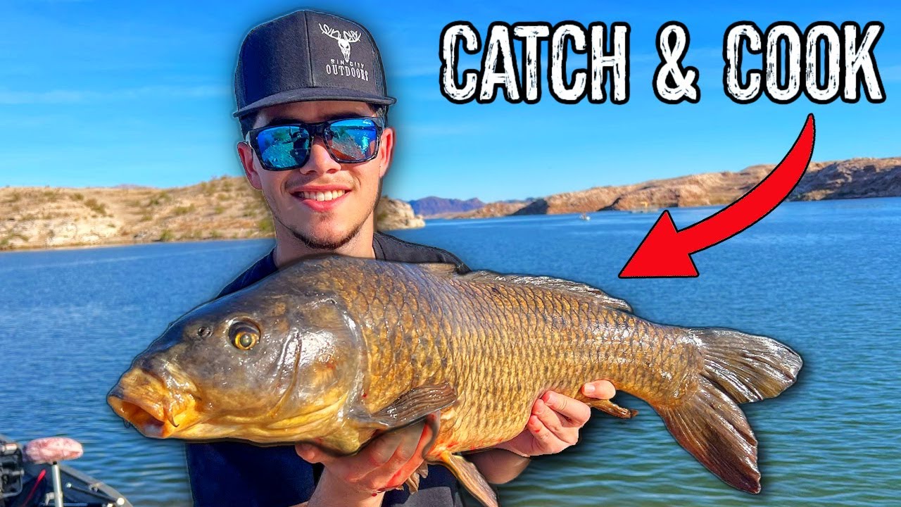 Carp: Trash Fish or Hidden Delicacy? (Catch and Cook)