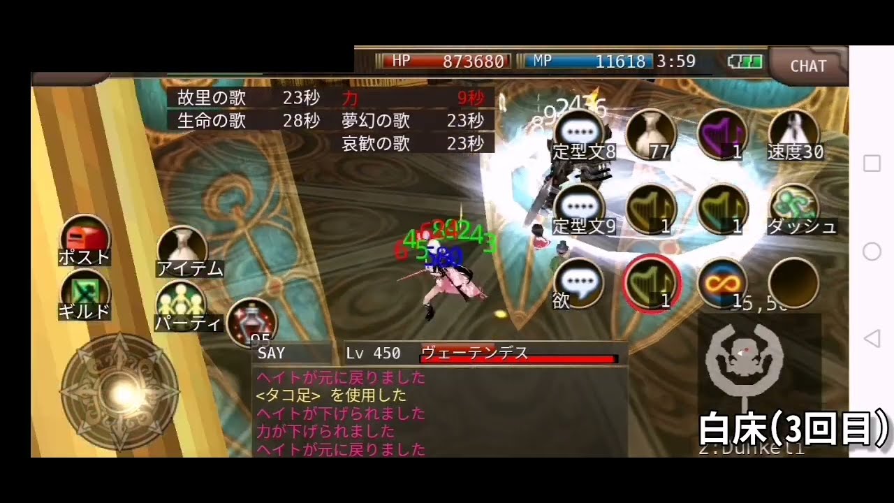 【イルーナ戦記】反射歌で強ボスツアー#6 ヴェーテンデスLv450