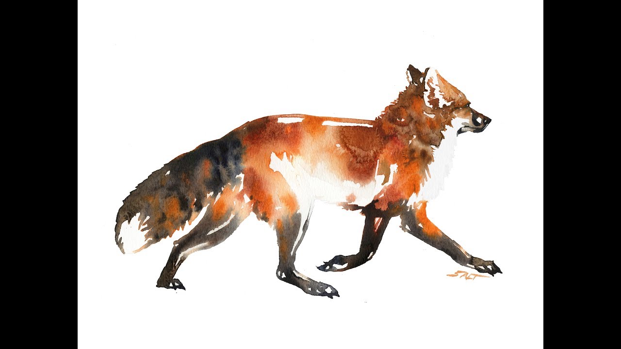 Watercolor // Painting a fox with using Daniel Smith paints