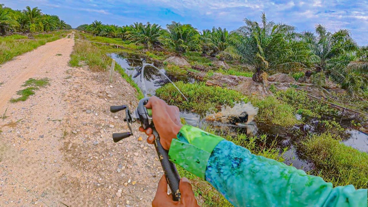 MENUJU KEPUNAHAN !!! 😨