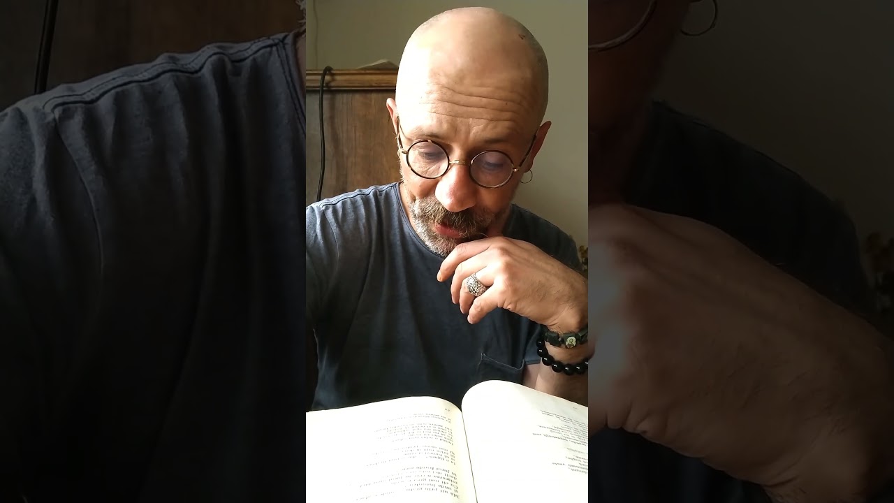 Geo Dumitrescu, Zăbrele