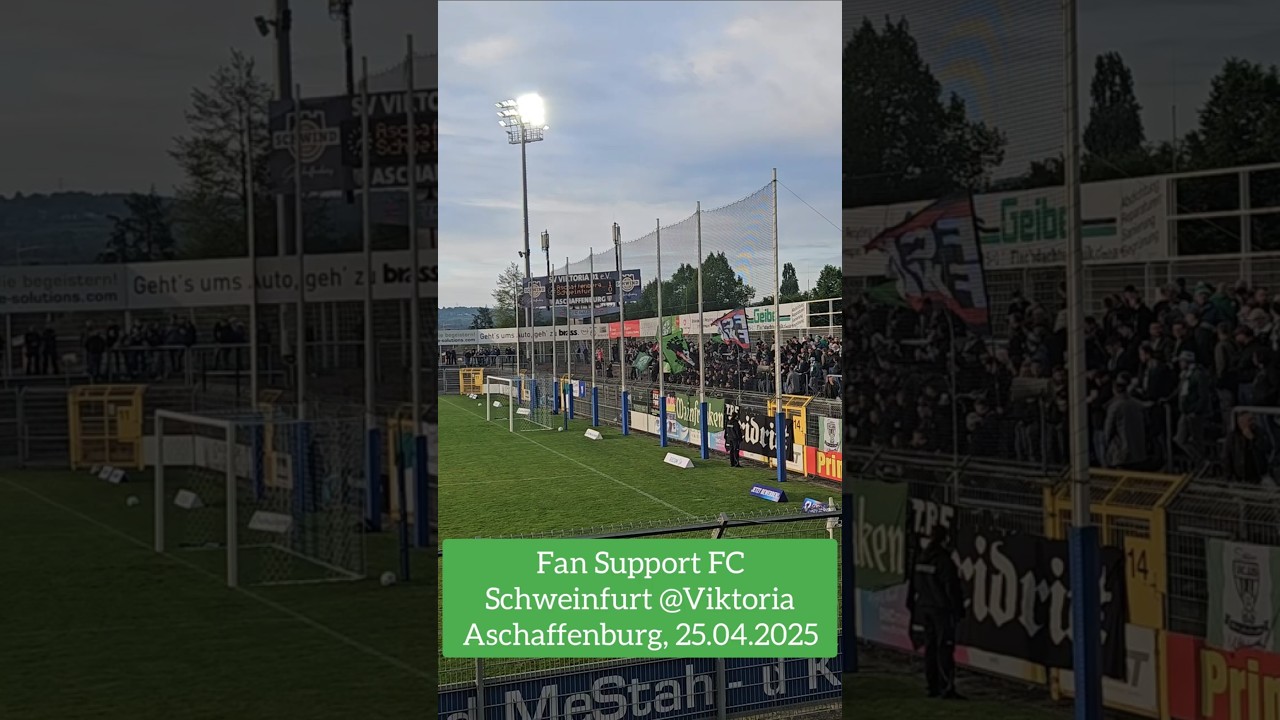 Fansupport FC Schweinfurt 05 @ Viktoria Aschaffenburg 25.04.2025 #Flutlichtspiel #regionalliga #fcs