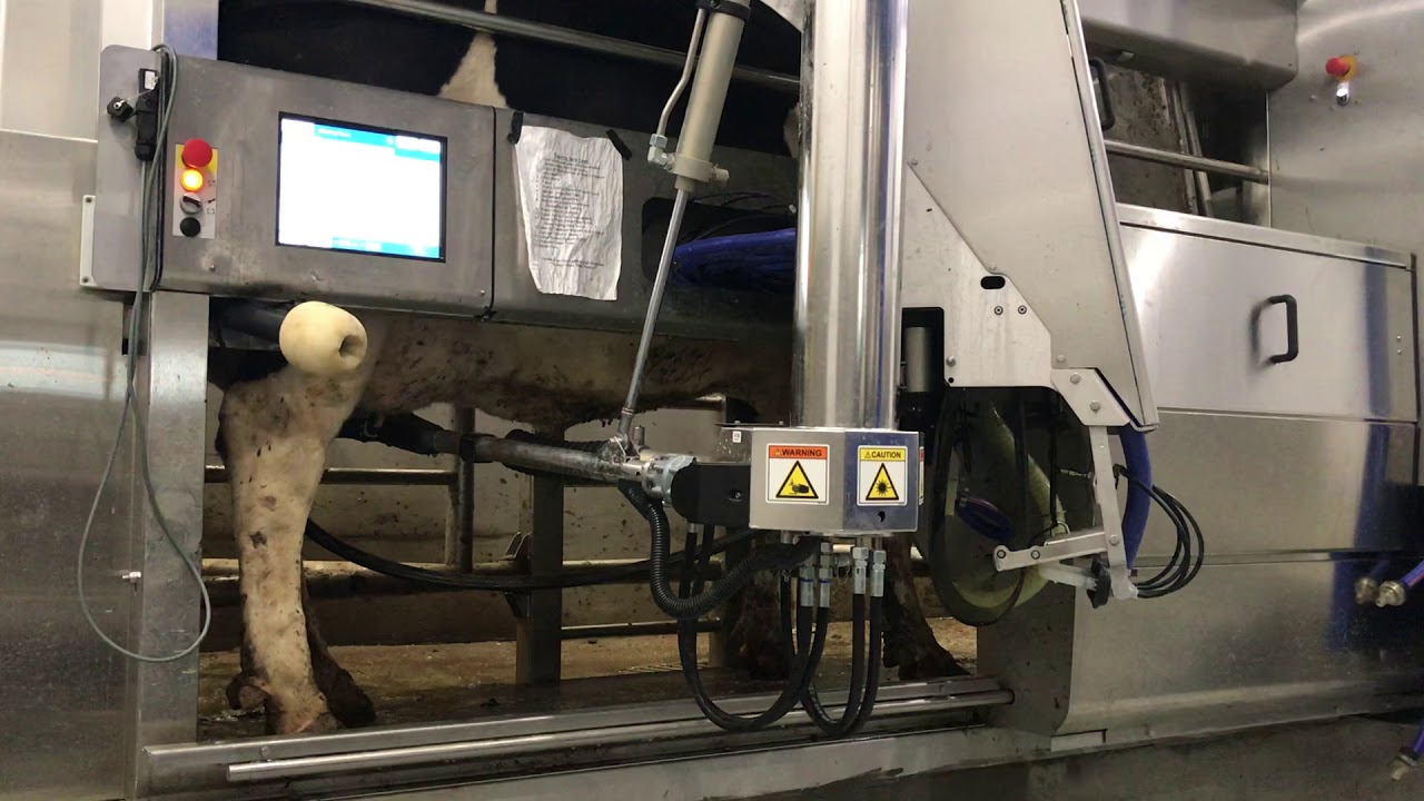 Delaval Robot In Action