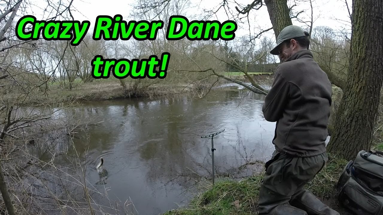 River Dane fishing-flying trout