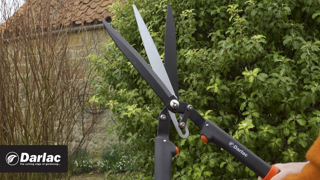 How To Use Darlac's Innovatively Designed Garden Shears: A Review By Garden Writer Martin Fish