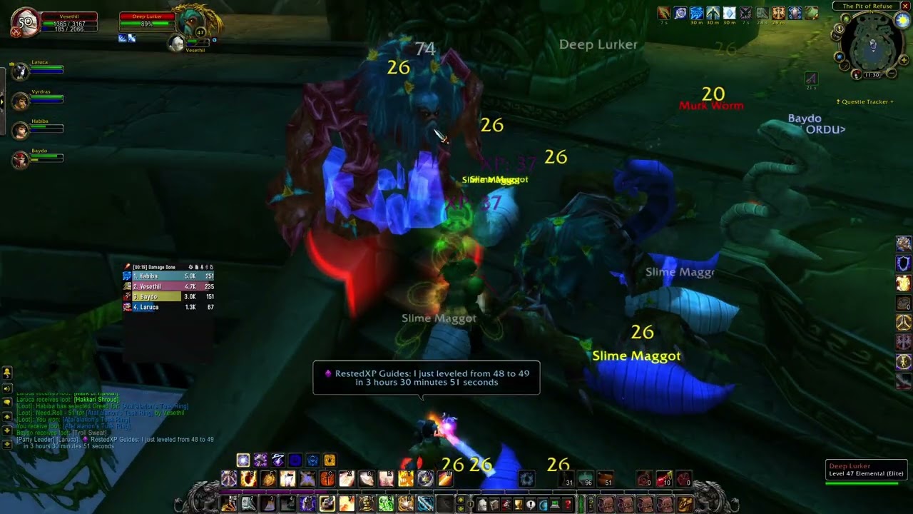 WoW anniversary Sunken Temple Paladin Tank gameplay