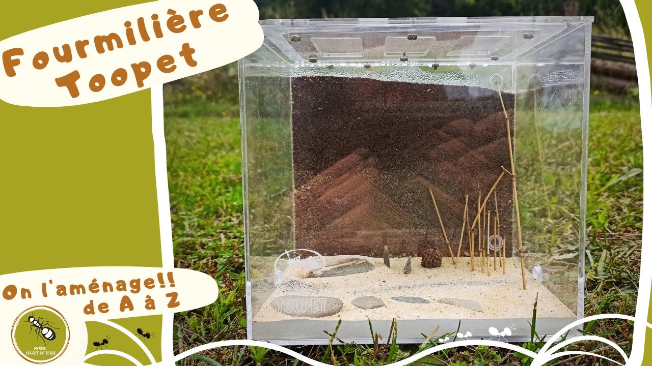 Fourmilière Toopet - on l'aménage de A à Z
