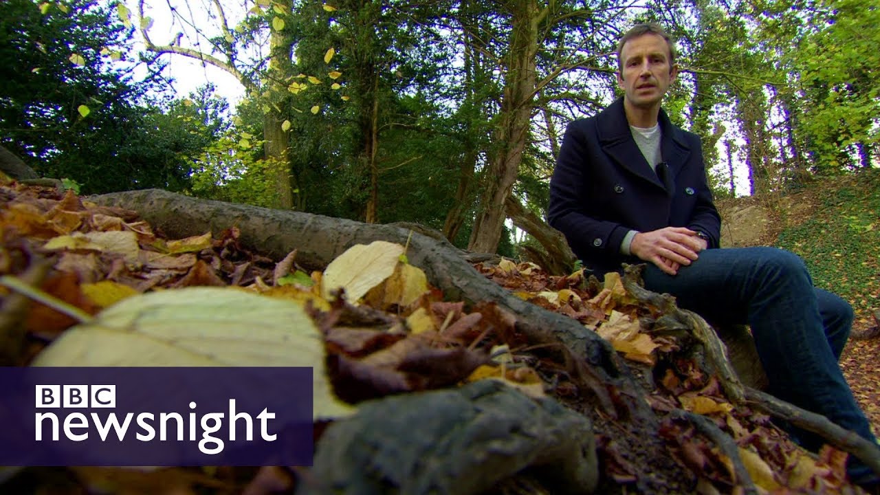 Robert Macfarlane: Do children in the UK spend enough time outdoors? - BBC Newsnight
