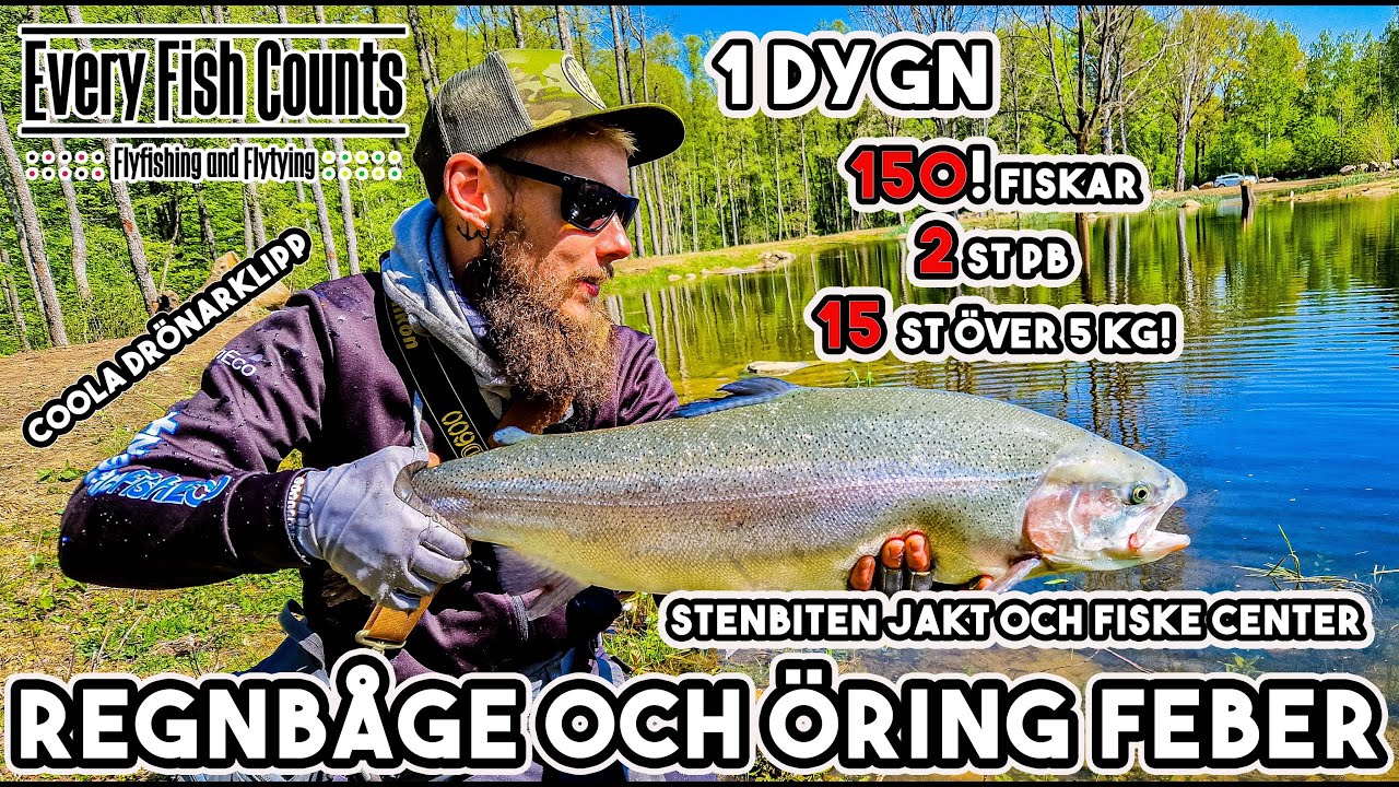 Rengbåge och öring feber - Stenbiten Jakt och Fiske Center - Flugfiske - Flyfishing