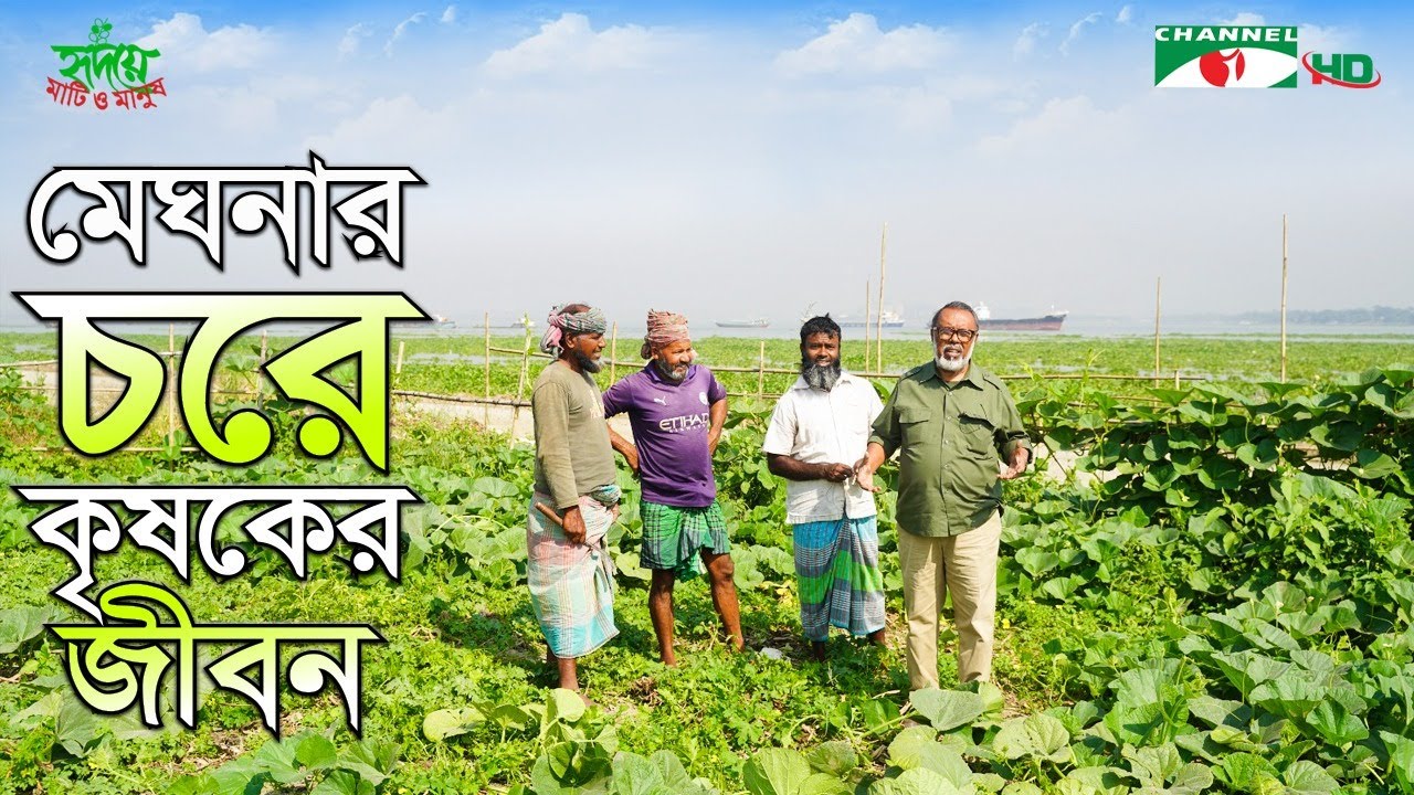 মেঘনার চরে কৃষকের জীবন | Shykh Seraj | Channel i |