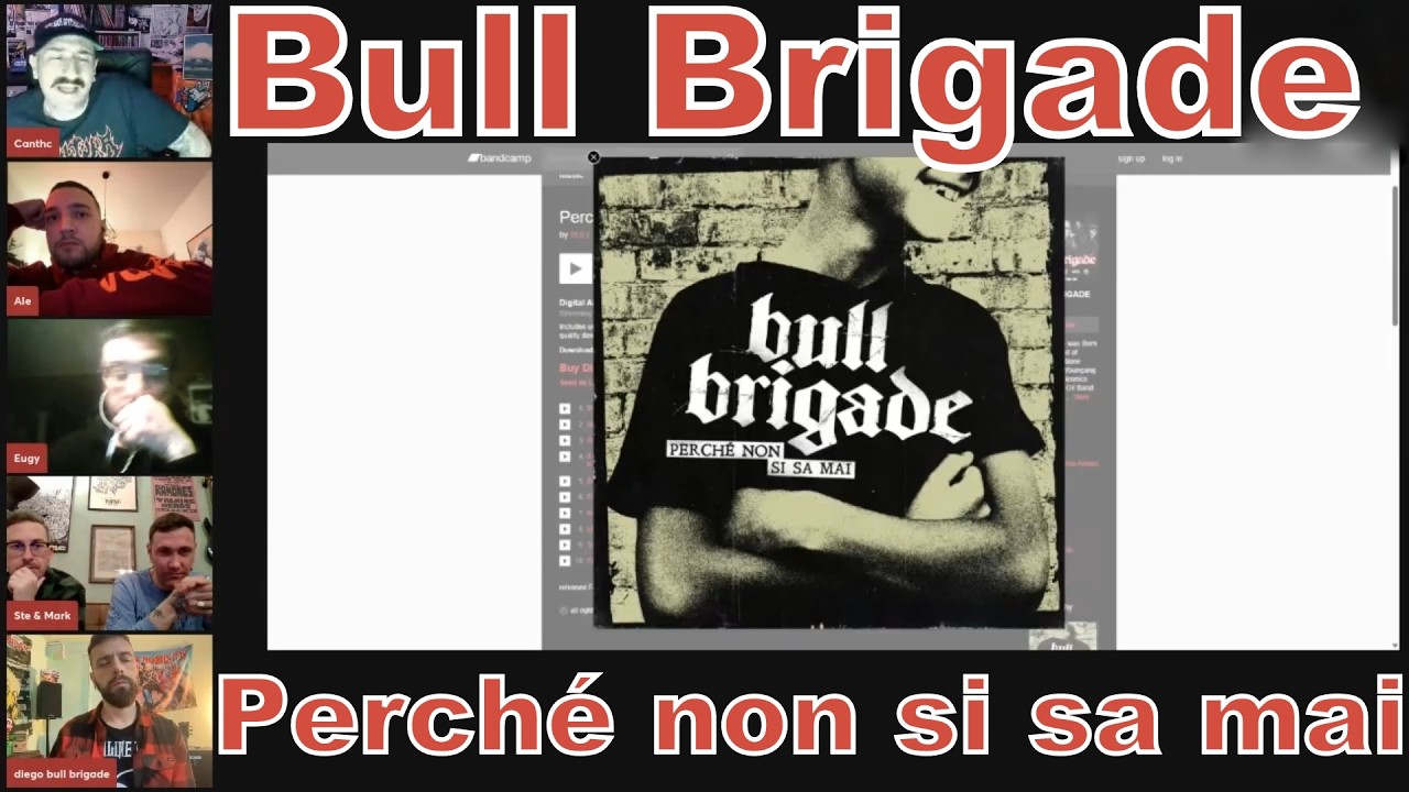Faccio PUNK anche se ho chiuso coi suoi schemi!! BULL BRIGADE - Presentazione 