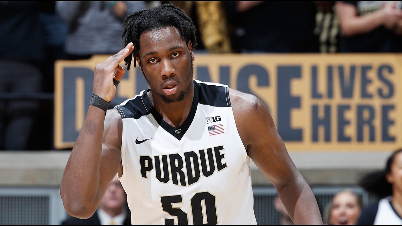 Caleb Swanigan Official Sophomore Year Highlights // 2016-2017