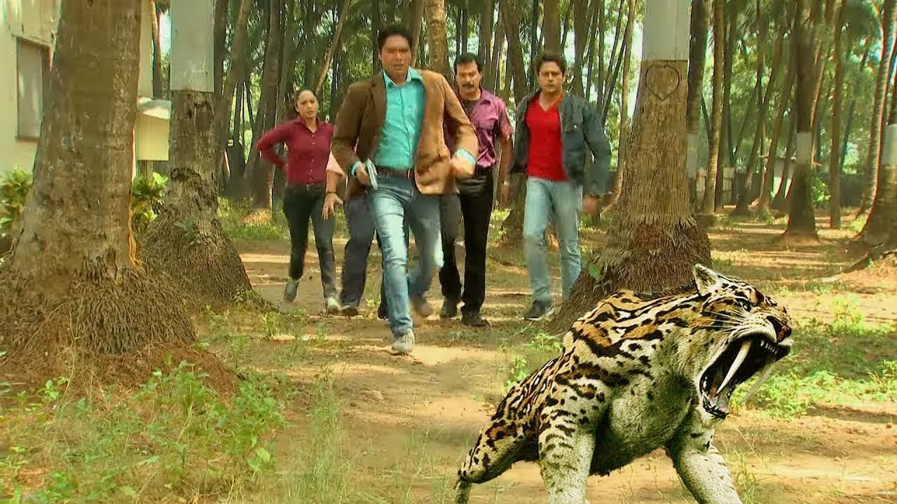 Cid टीम ने पकड़ा जंगल का सबसे दरिंदा ~ असलियत जानकर डर जाएंगे | CID LATEST EP | #cid | #newepisode