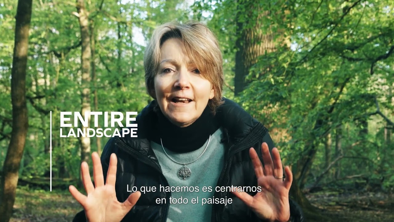 Seeds of Change: The WeForest Story (ES subtitles)