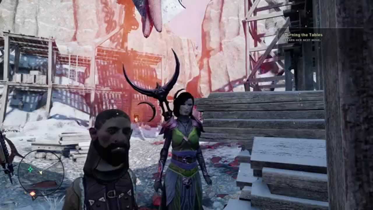 Dragon Age Inquisition-Random glitches