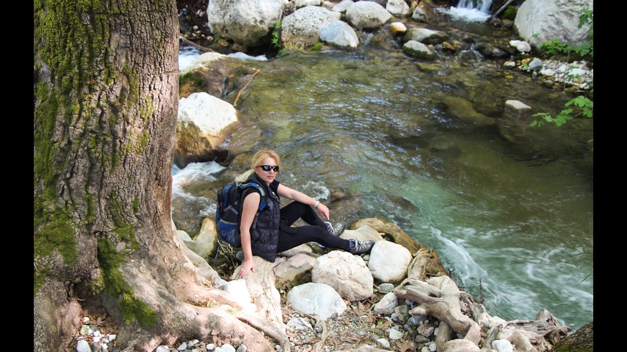Powerful Forest Stream After Rain ,  Deep Nature Sounds for Relaxation & Meditation