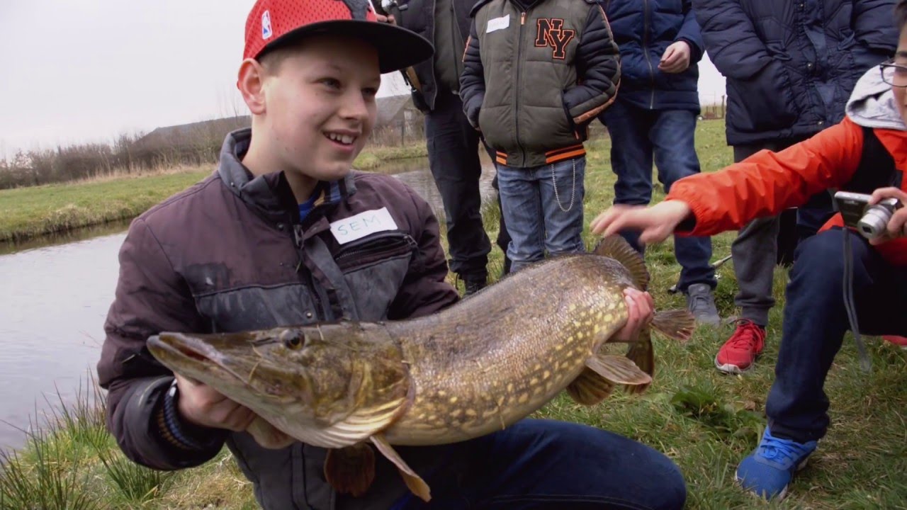 Viskid on Tour in Wilnis. (english subtitled)
