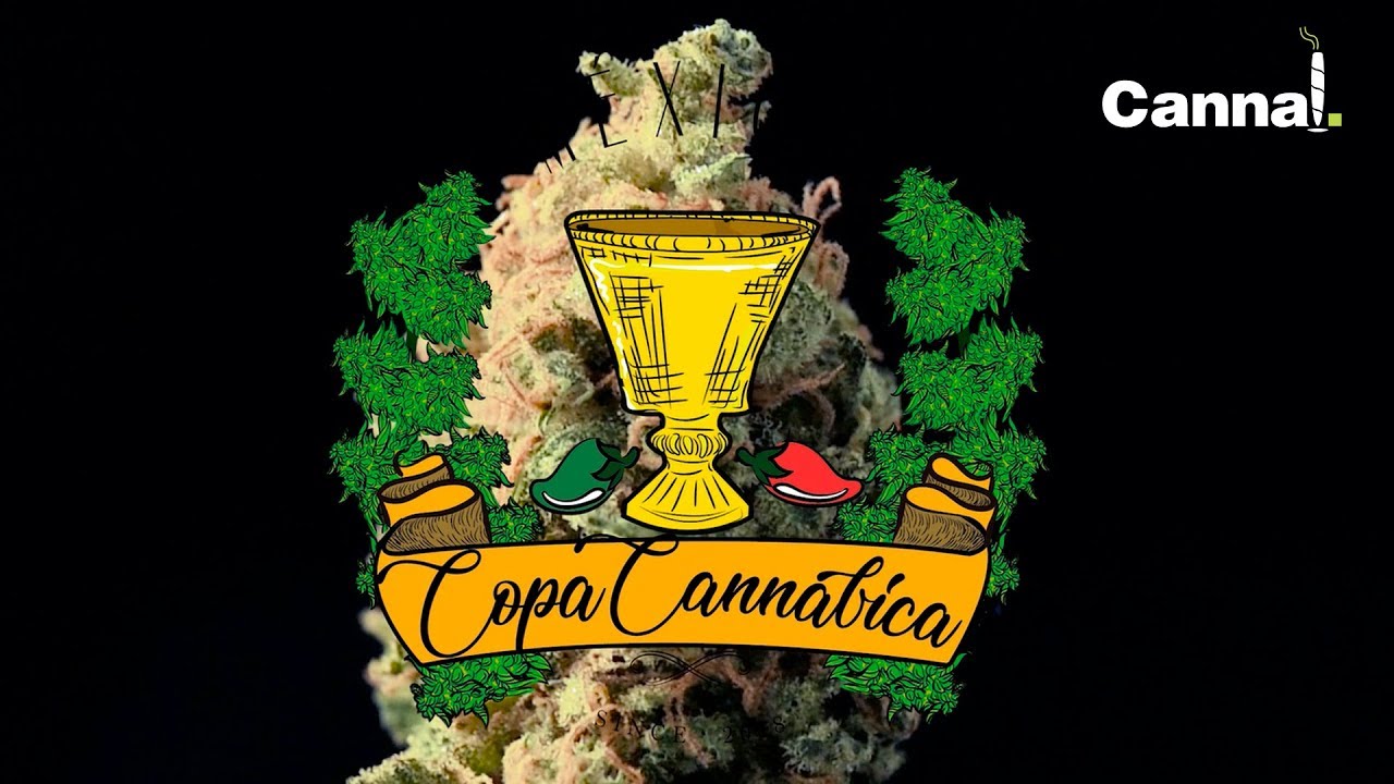 AFTERMOVIE OFICIAL COPA CANNABICA Mx 2018