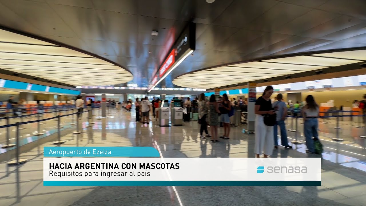 Hacia Argentina con mascotas: Requisitos para ingresar al país