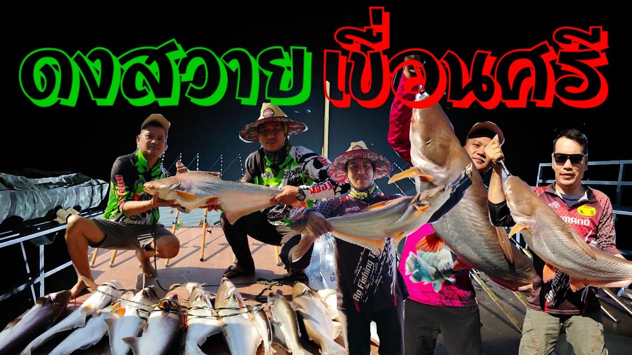 EP. 44 ตกปลาสวายเขื่อนศรีแพไต๋หนุ่ย จ.กาญจนบุรี