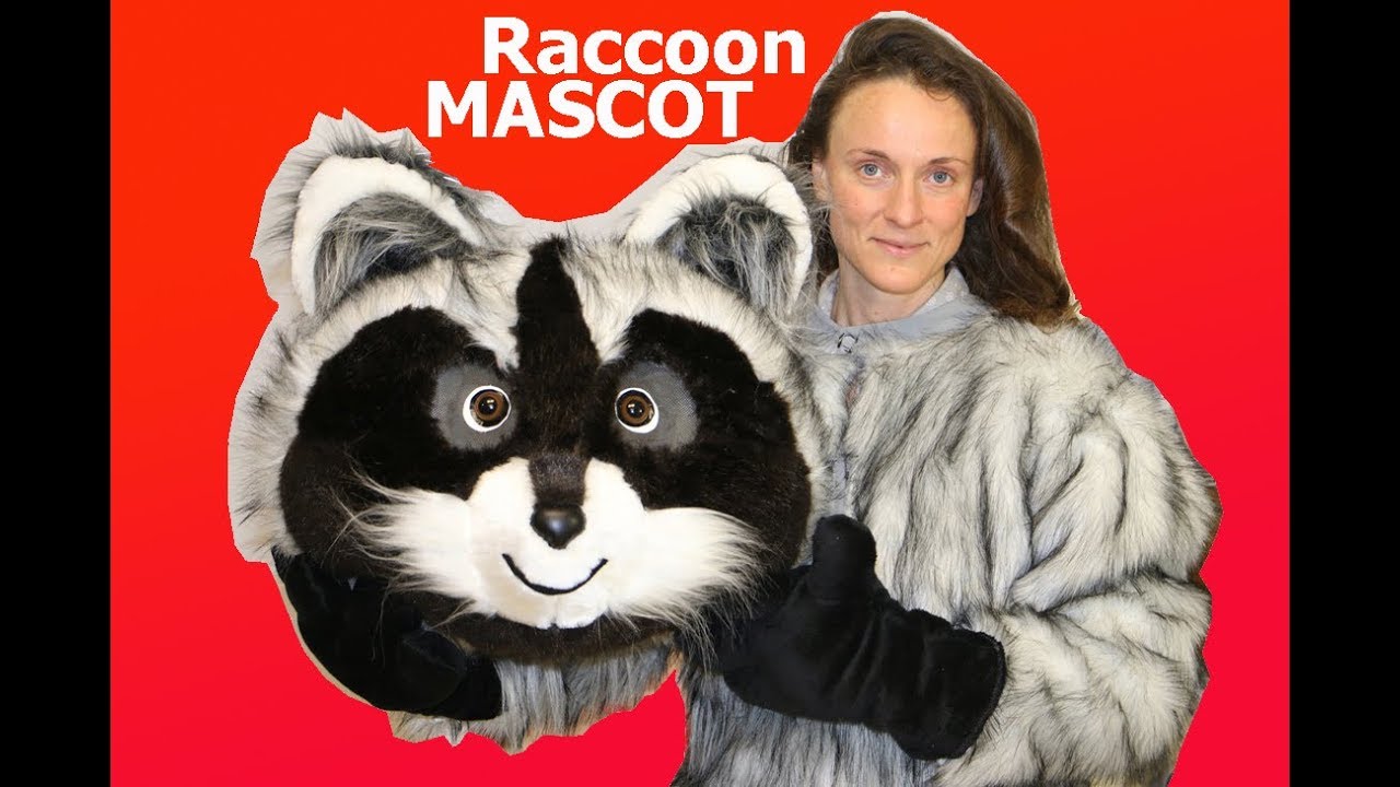 Raccoon Mascot Costume