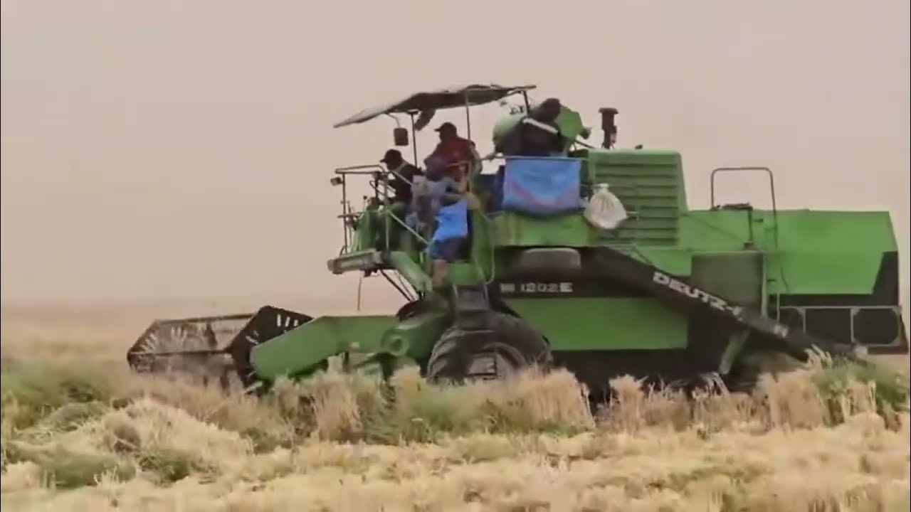هذه المشاهد حاليا من منطقة المعيدر جماعة تافراوت نسيدي علي بإقليم الرشيدية