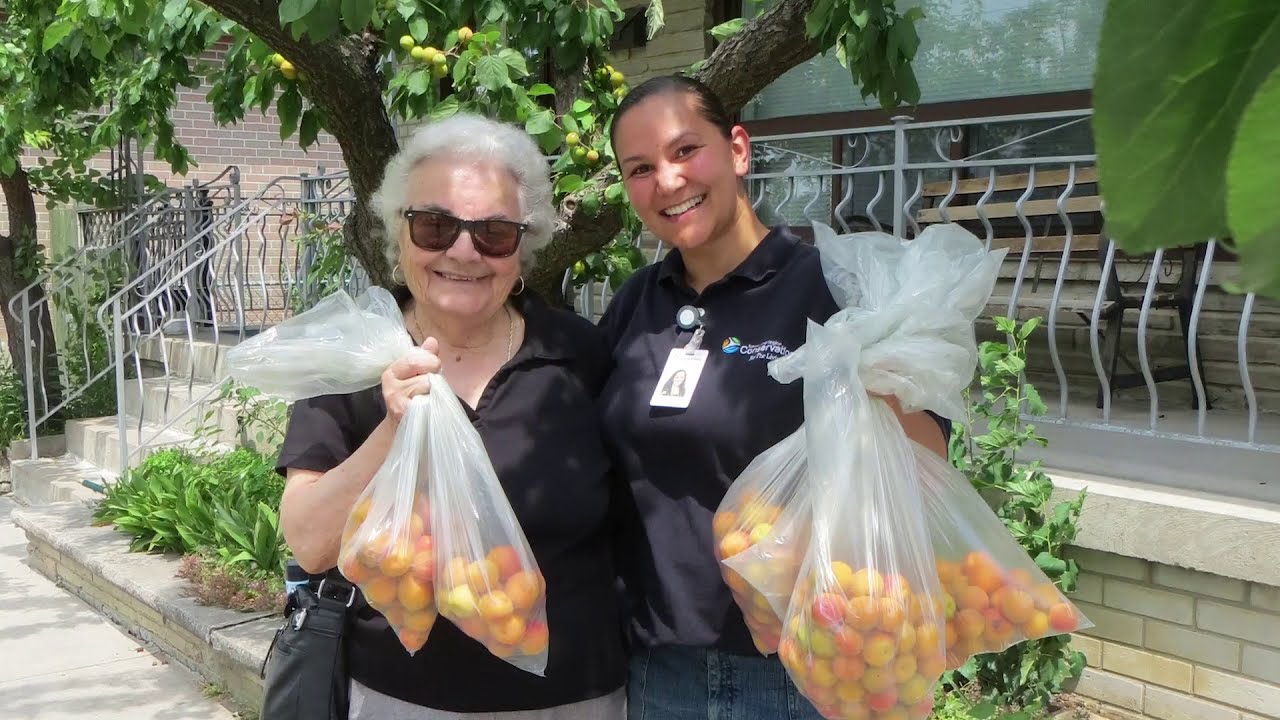 SNAP: Sustainable Neighbourhood Action Program - San Romanoway Towers Project