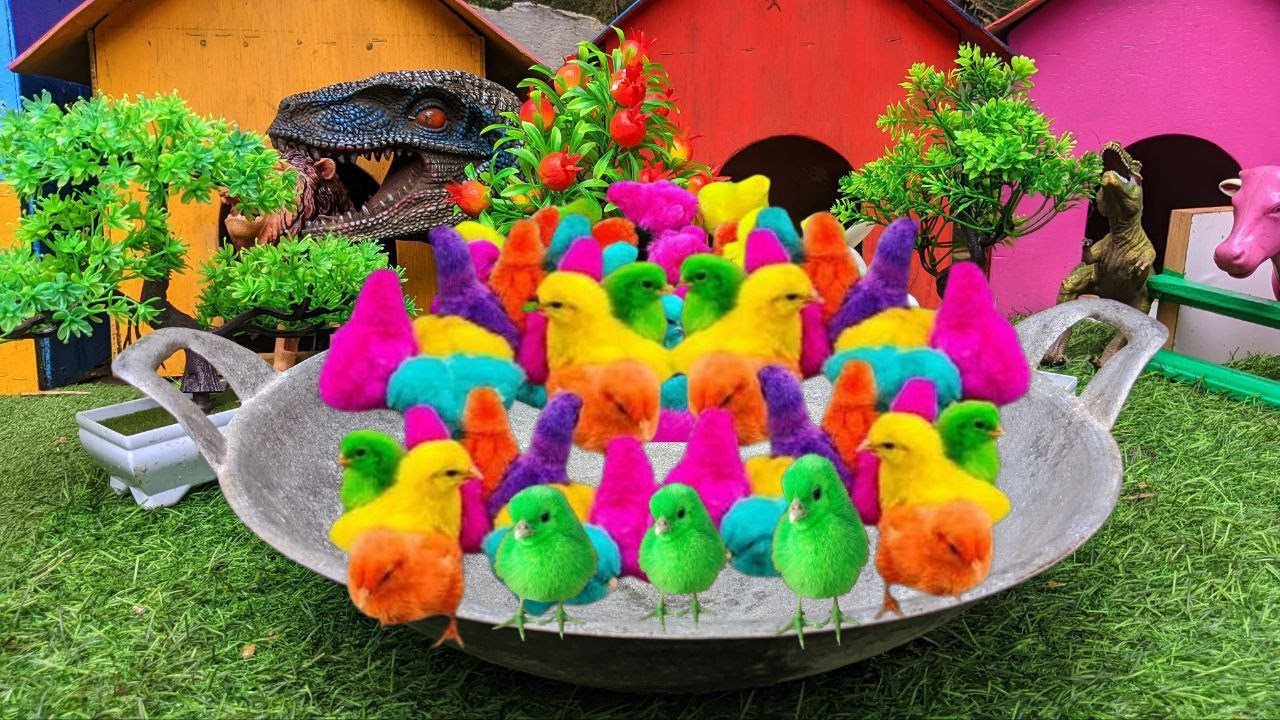 Catch Cute Chickens, Colorful Chickens, Rabbits, Cat, Goose, Duck,rainbowchicks