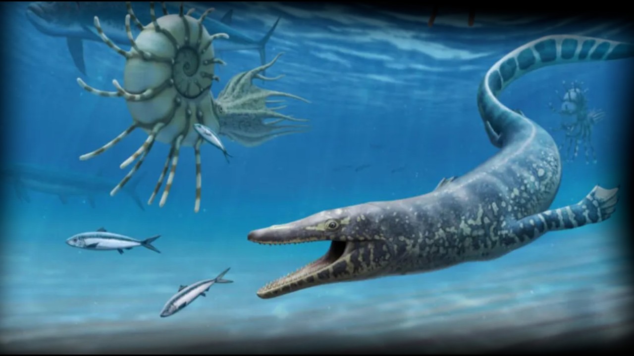 A Huge New Mosasaur Has Been Discovered in Morocco | Pluridens imelaki | Prehistory in the Dark