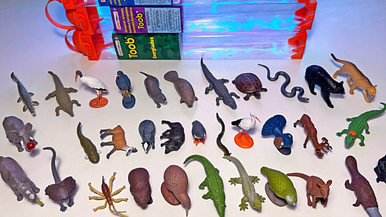New Alligator, Crocodile, Frilled Lizard, Florida Panther, Turtle, Platypus, Stork, Kangaroo