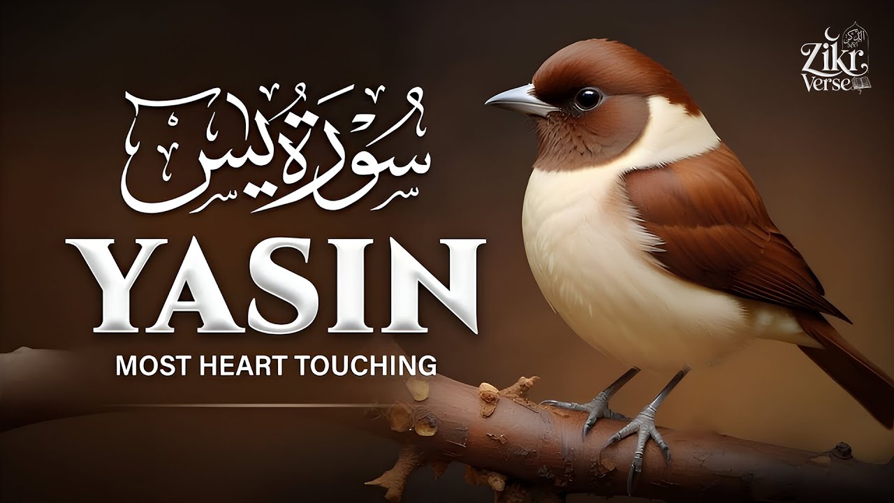 Surah Yasin (Yaseen) سورة يس | Peaceful Night Recitation for Tranquility & Protection #lofiquran