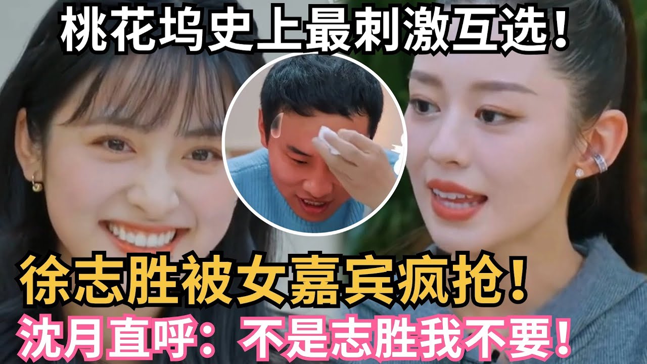 徐志胜被三位女嘉宾疯抢！沈月表示非徐志胜不可！桃花坞4首次会议太刺激了！#搞笑  #综艺 #真人秀 #五十公里桃花坞4 #综艺show
