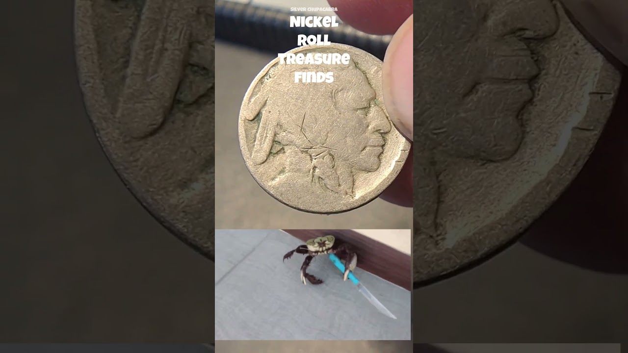 110+ Year Old Buffalo Nickel Found! 