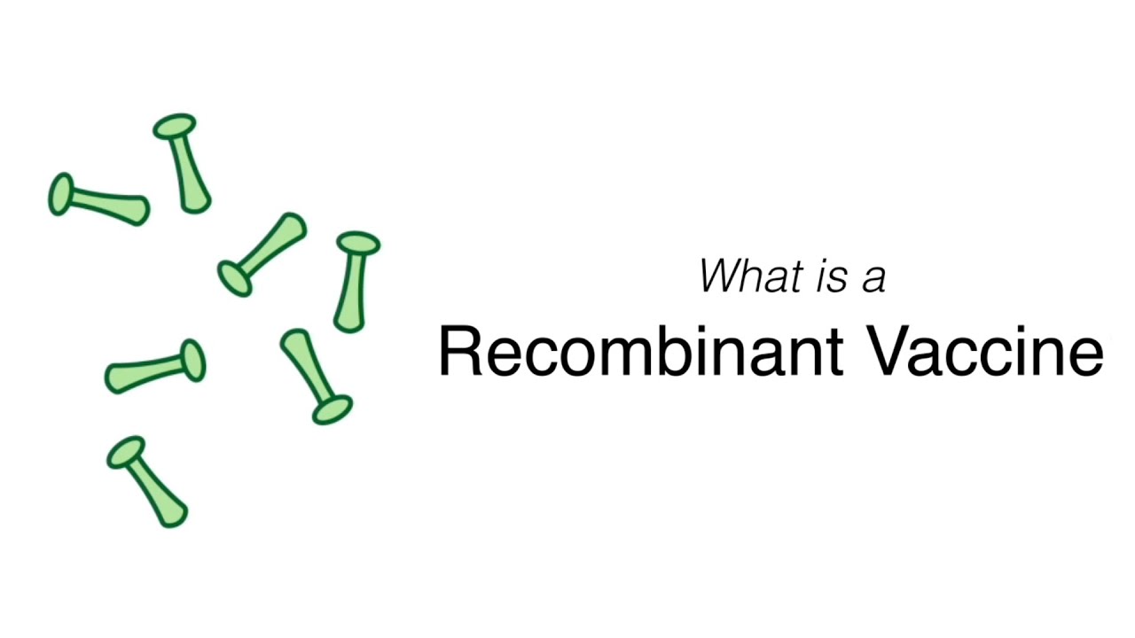 What is a Recombinant Vaccine?