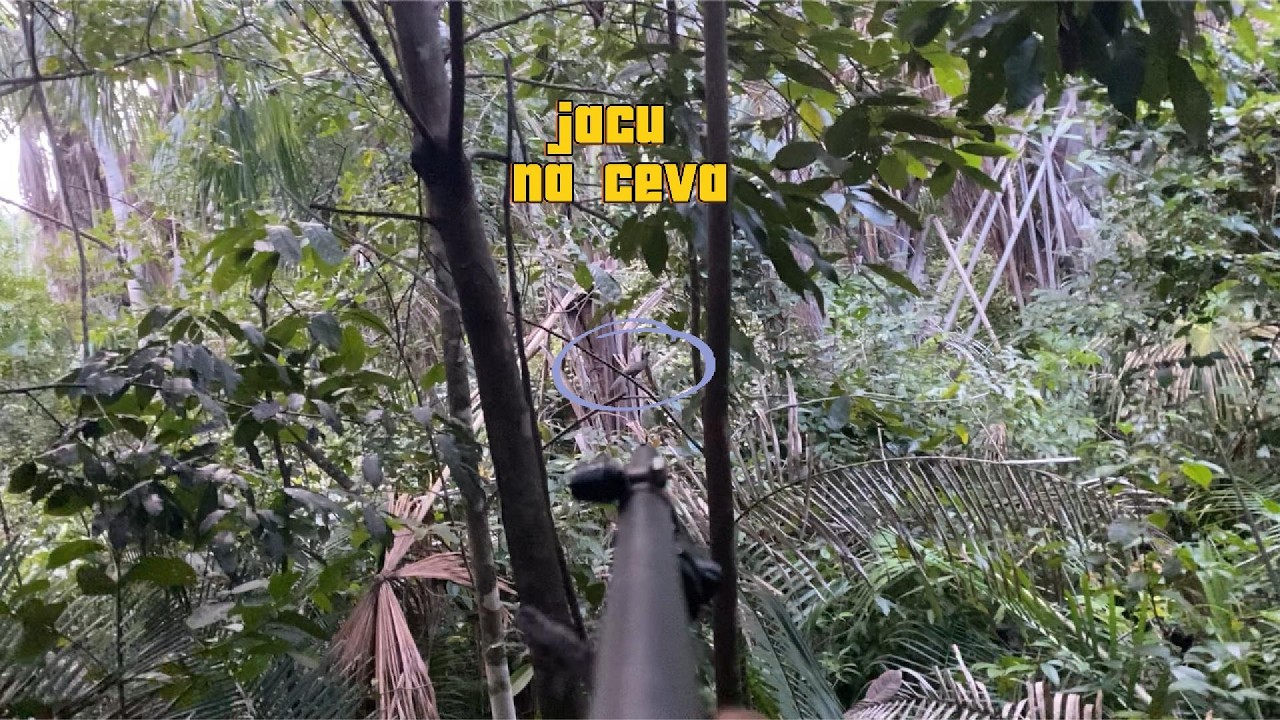 CEVA DE PACA TA MOVIMENTADA E JA DEU RESULTADO