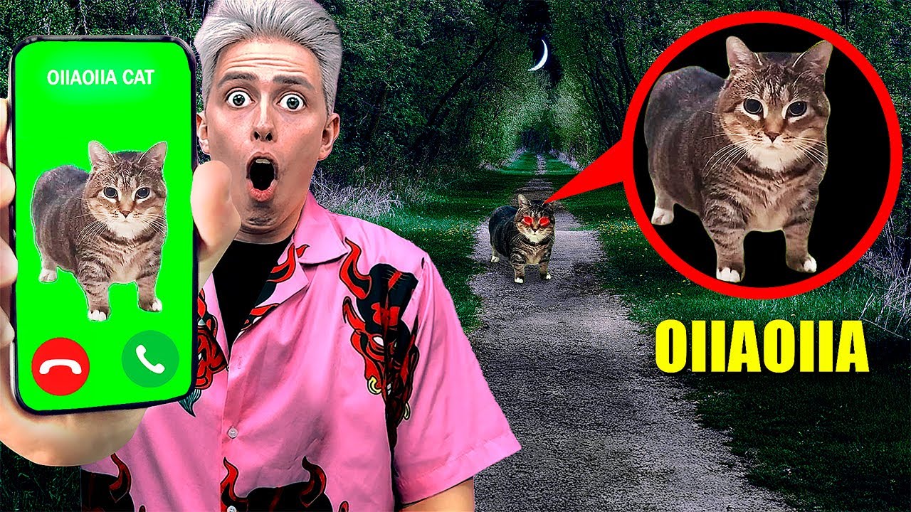НИКОГДА НЕ ЗВОНИ OIIAOIIA CAT в 