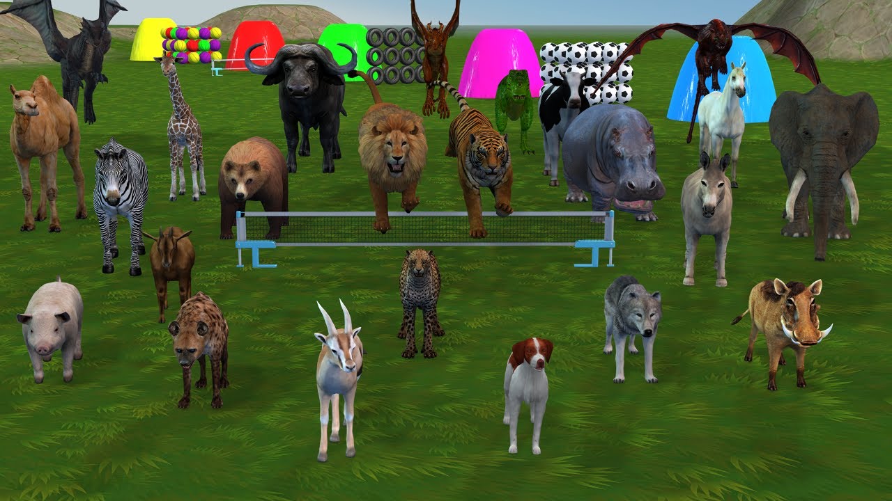 Long Slide Game With Cow Elephant Gorilla Hippopotamus Tiger and other Animals