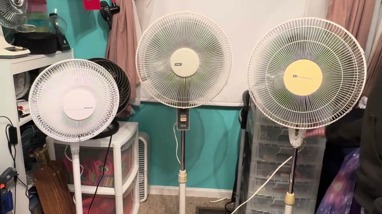 stand fans