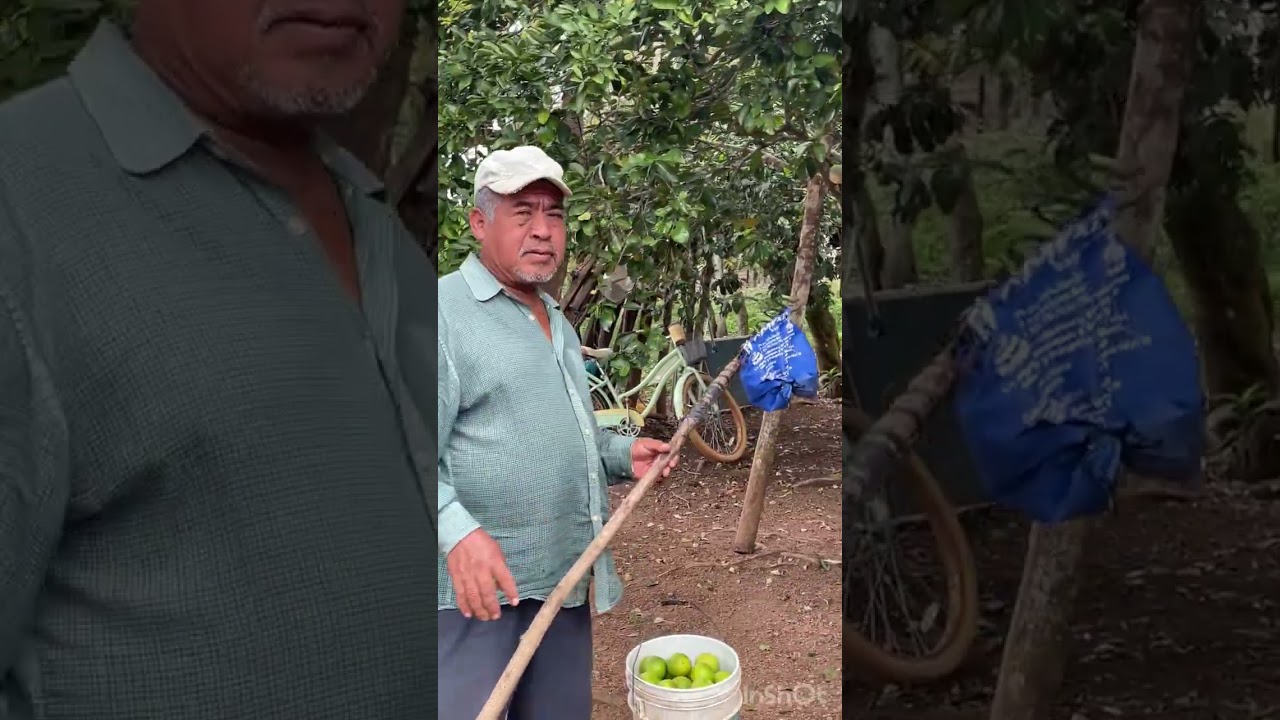 🔴LA HERENCIA QUE ME DEJÓ MI MADRE 🥰😍🥹❤️