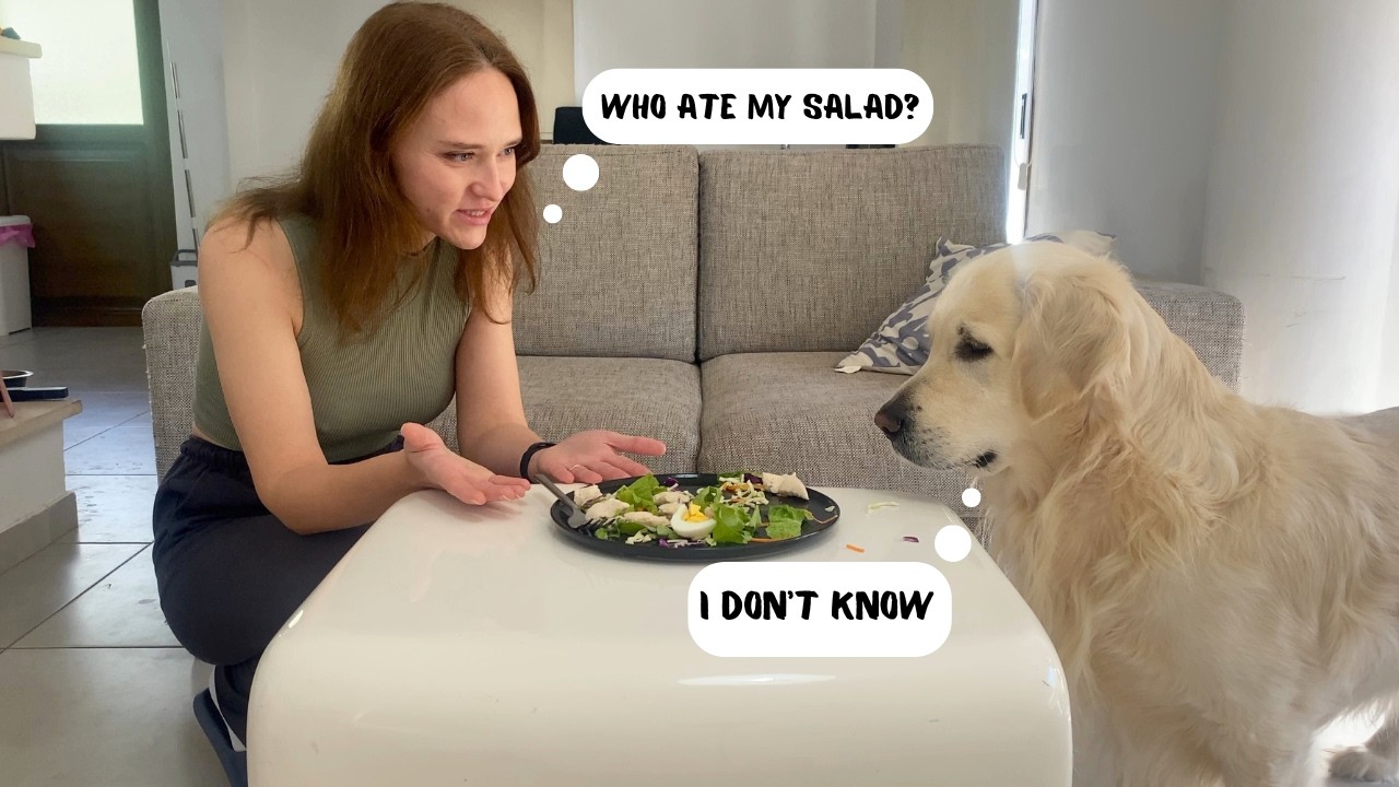 What Does My Dog Do When I Left Him Alone with Food