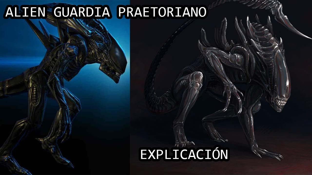 Alien Praetorian o Xenomorfo Pretoriano EXPLICADO