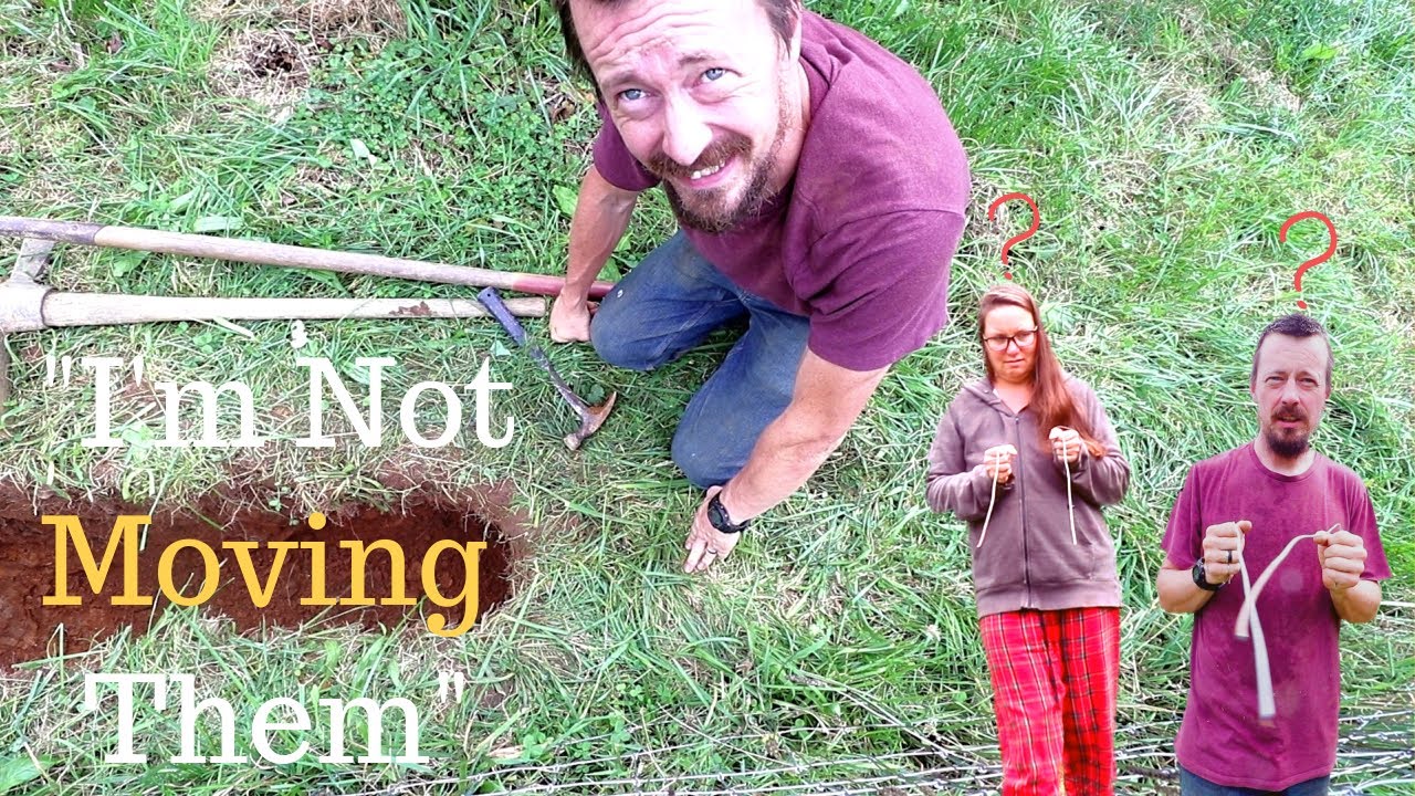 Non-Believers Try DOWSING - are shocked by results (water witching, doodlebugging)
