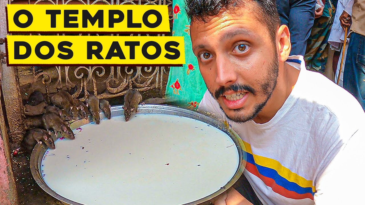 VISITAMOS O TEMPLO DOS RATOS NA ÍNDIA