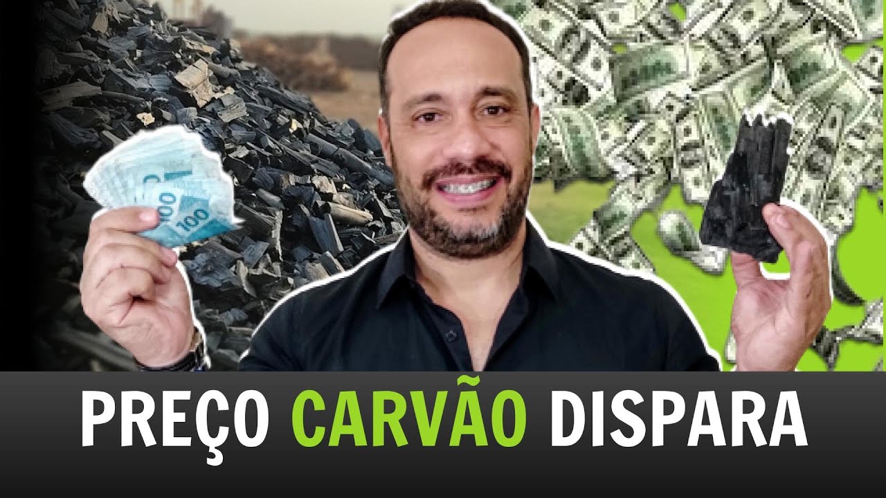 Explode o Preço do Carvão Vegetal | E agora? O que o produtor de carvão deve fazer?