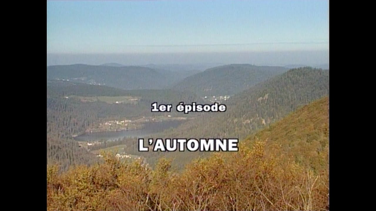 CHRONIQUE DE LA FÔRET DES VOSGES 1/4 : L'AUTOMNE (1994)