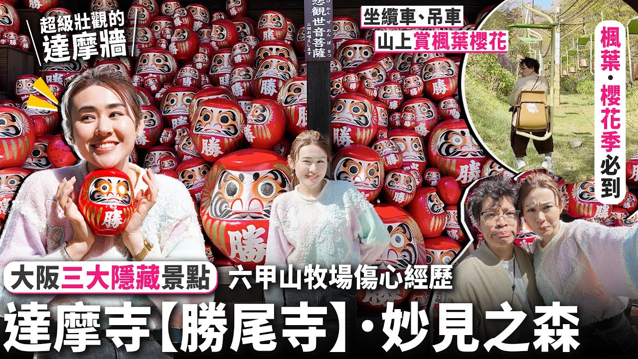 ✧ 大阪三大隱藏景點 ✧ 避遊客打卡秘景推介✨超多達摩勝尾寺 ⛩️ 期待7年重遊六甲山牧場 🐮 竟然因為❌❌失望而回🥺 妙見之森 🌸 楓葉 櫻花季 必到🍁【大阪京都 2023 #2｜智將情侶】